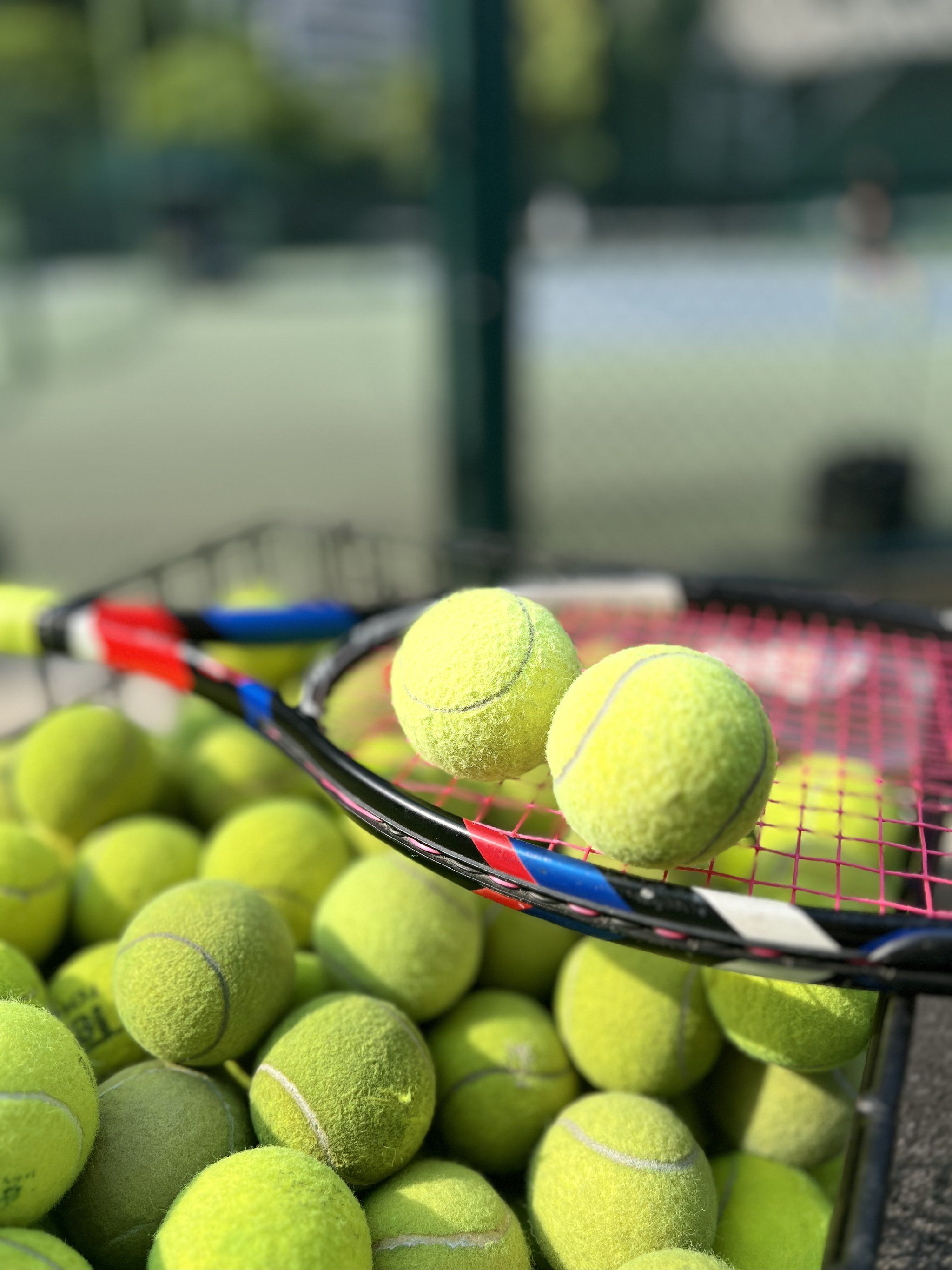 郭艾伦9中 郭艾伦9中