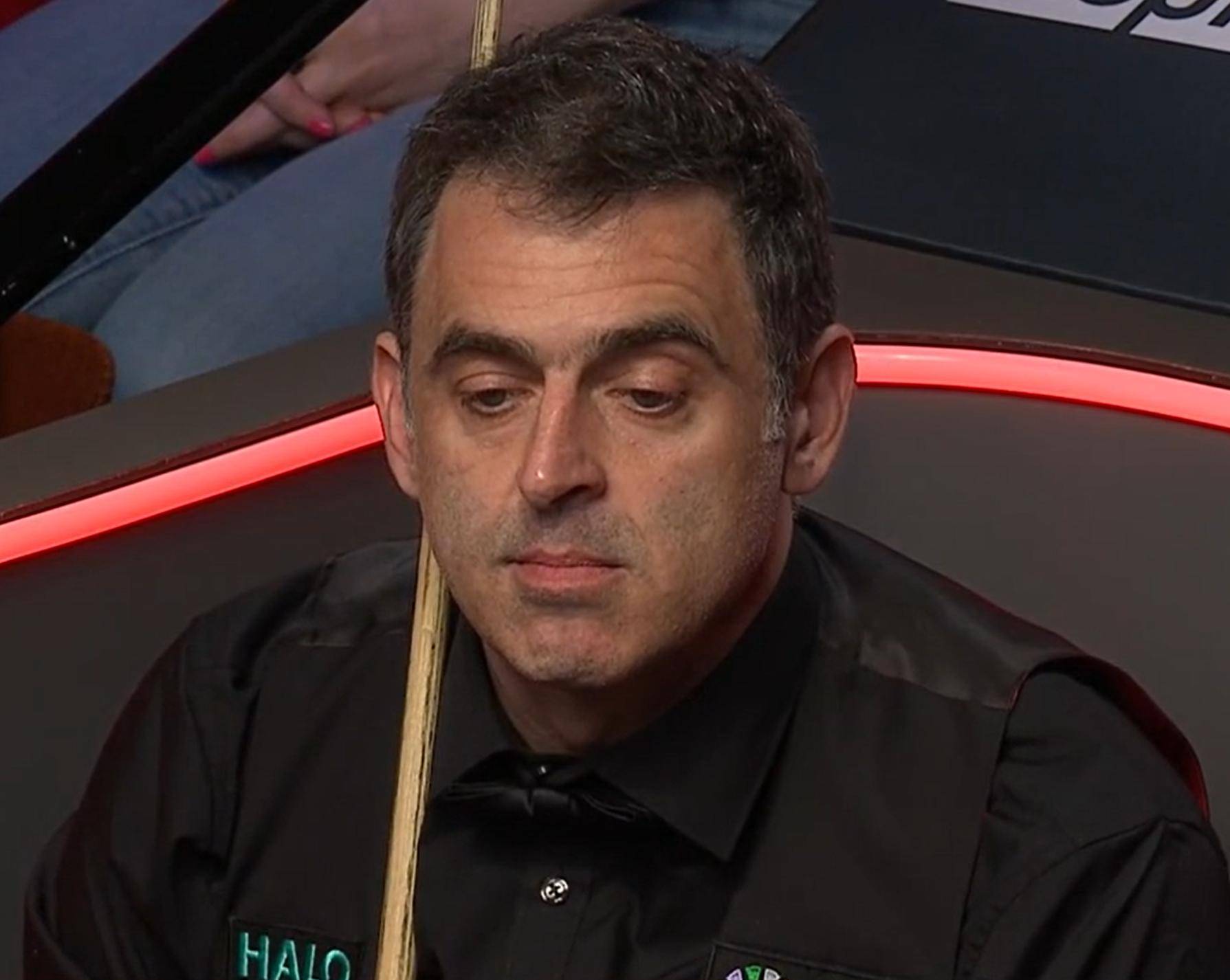 也为行业敲 也为行业敲